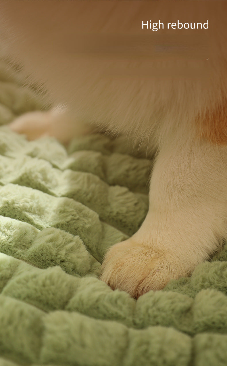 Winter Warm Pet Mat