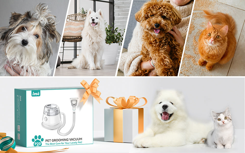 All-in-One Pet Grooming Vacuum