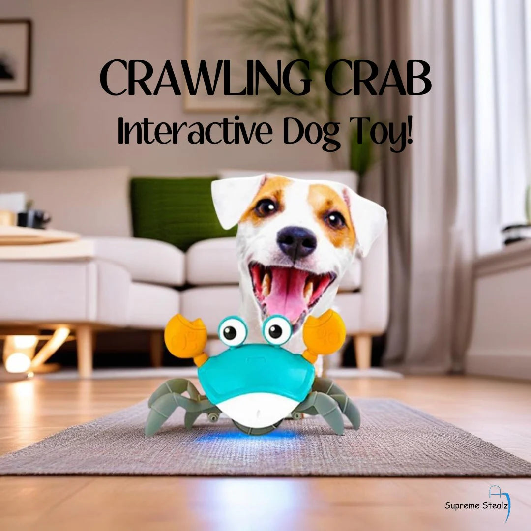 Crab toy walking