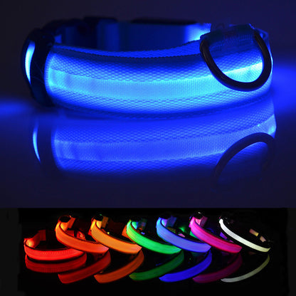 LED Dog Collar