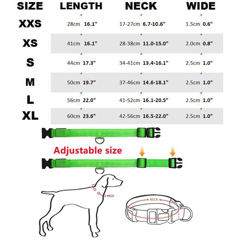 LED Dog Collar